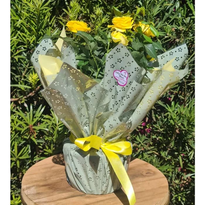 Roseira AMARELA- RS0063