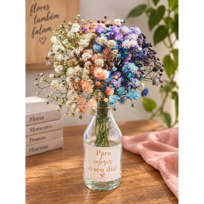 Gypsophila Colorida